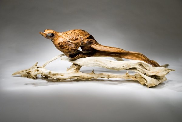 Pheasant