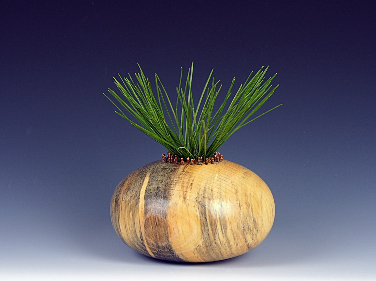 Pine HF