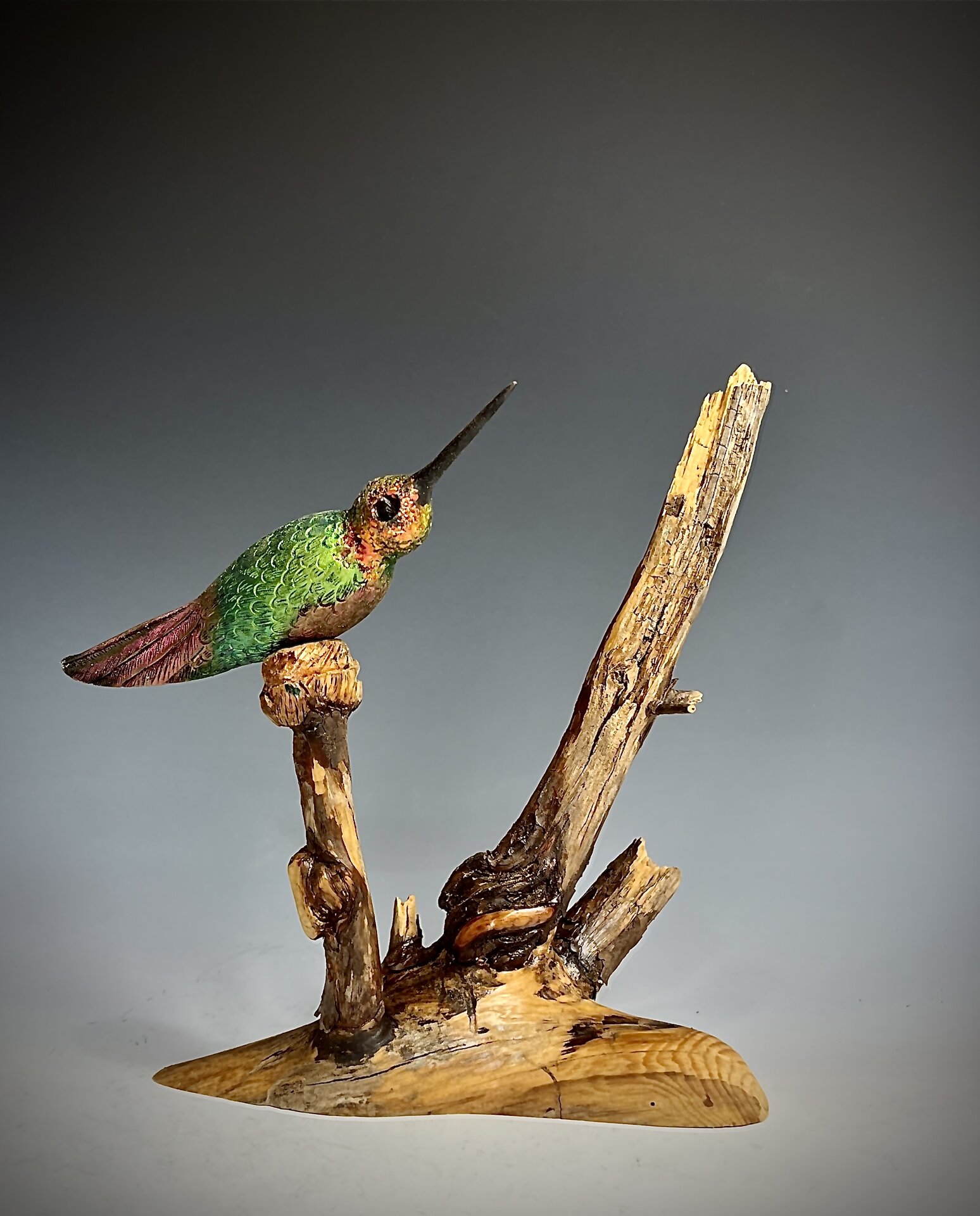"Pine Wooded Hummingbird"