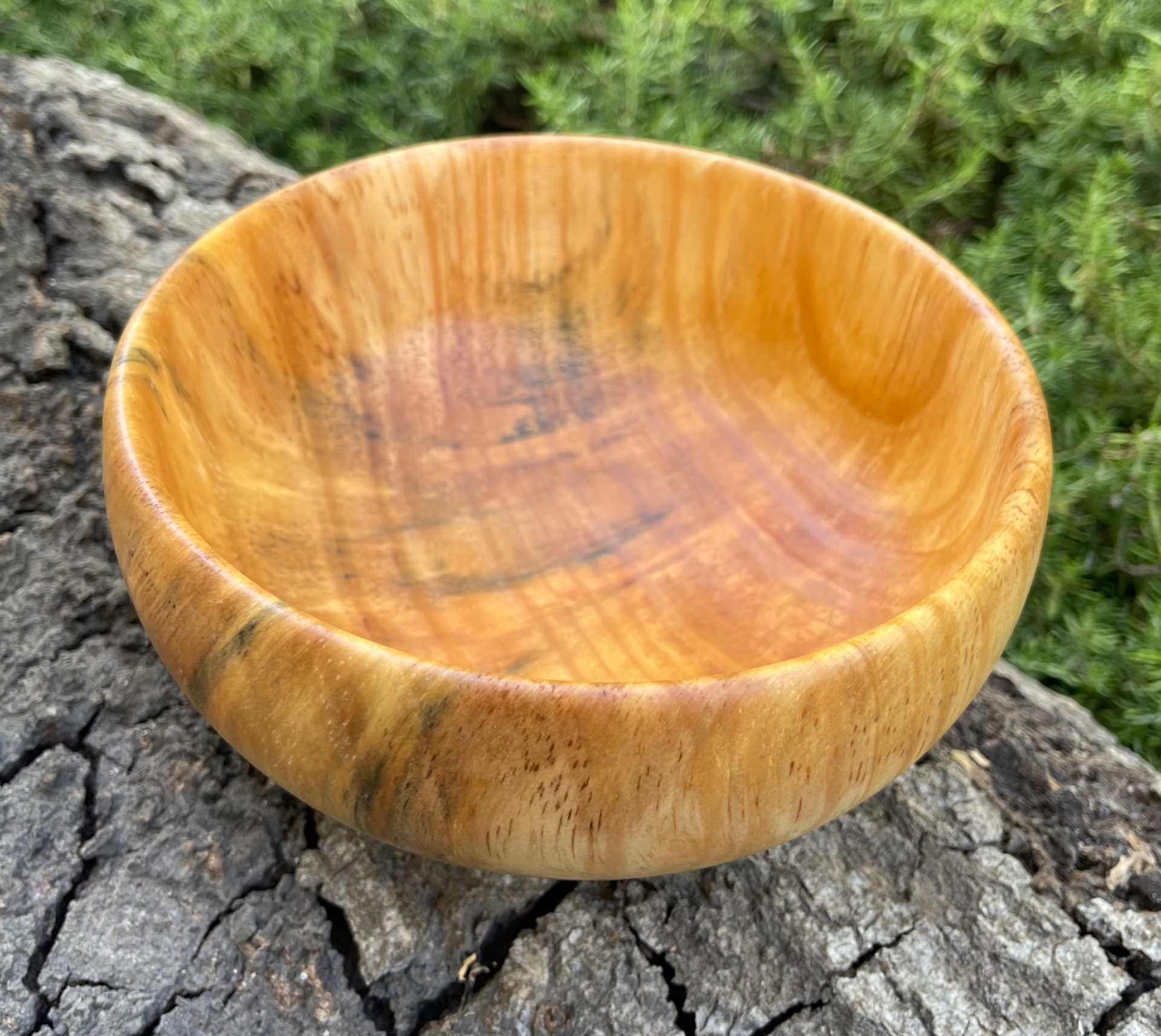 Pine