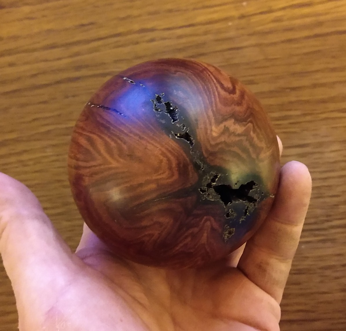 Pittosporum spalted ball