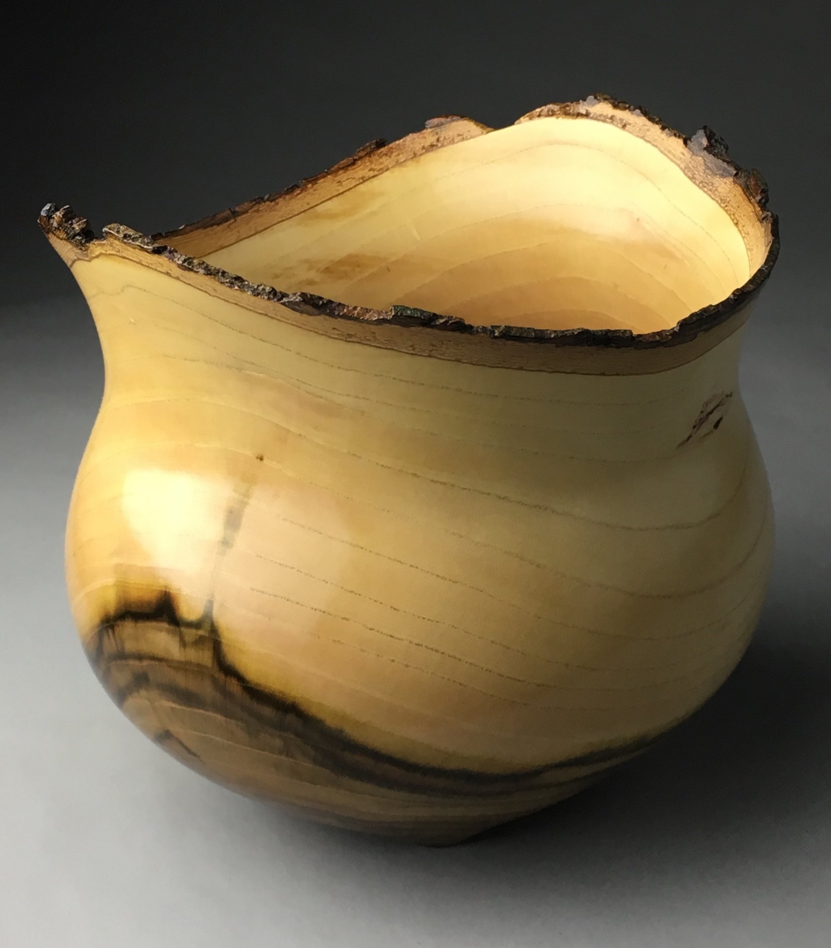Pot Belly Poplar