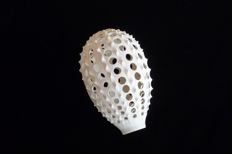 Radiolarian #2