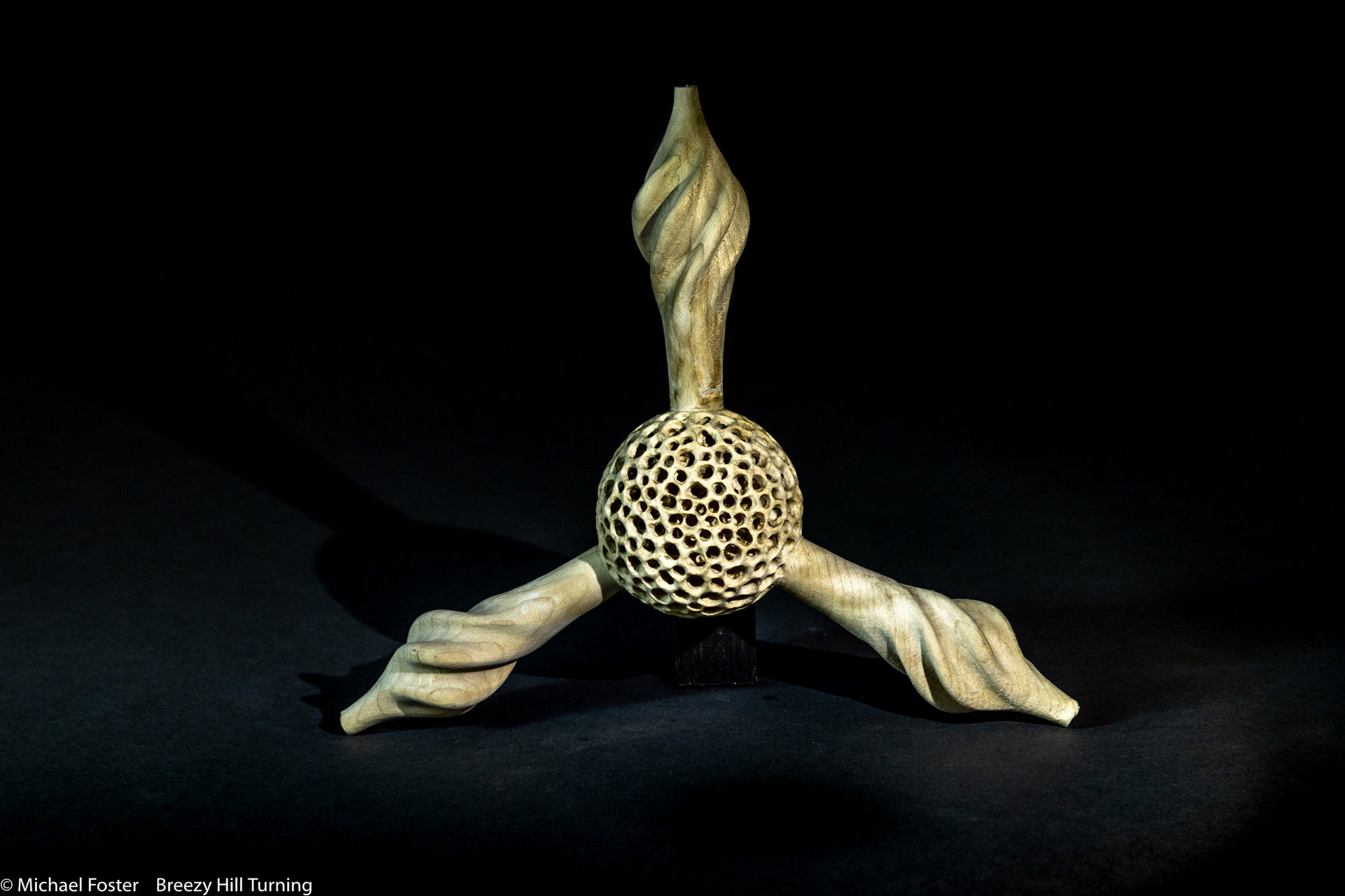 Radiolarian VIII