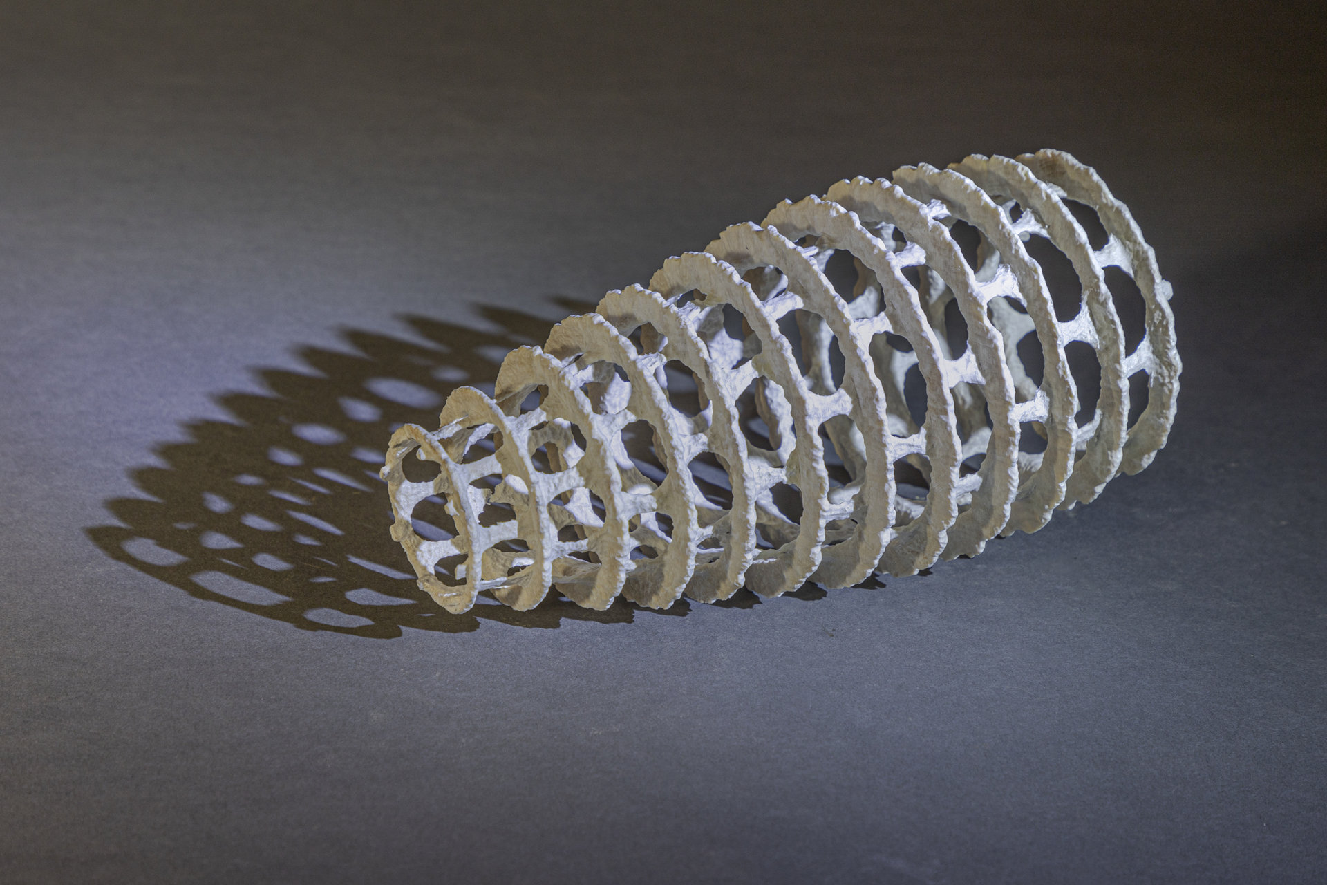 Radiolarian VIII
