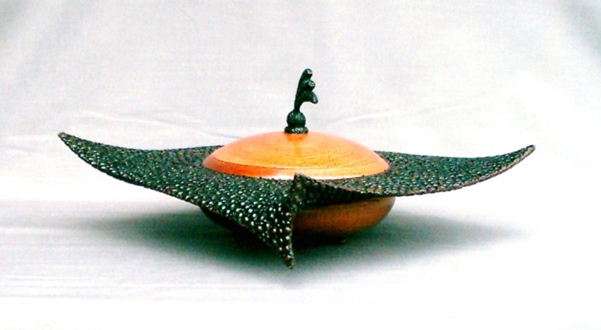 Rear_view