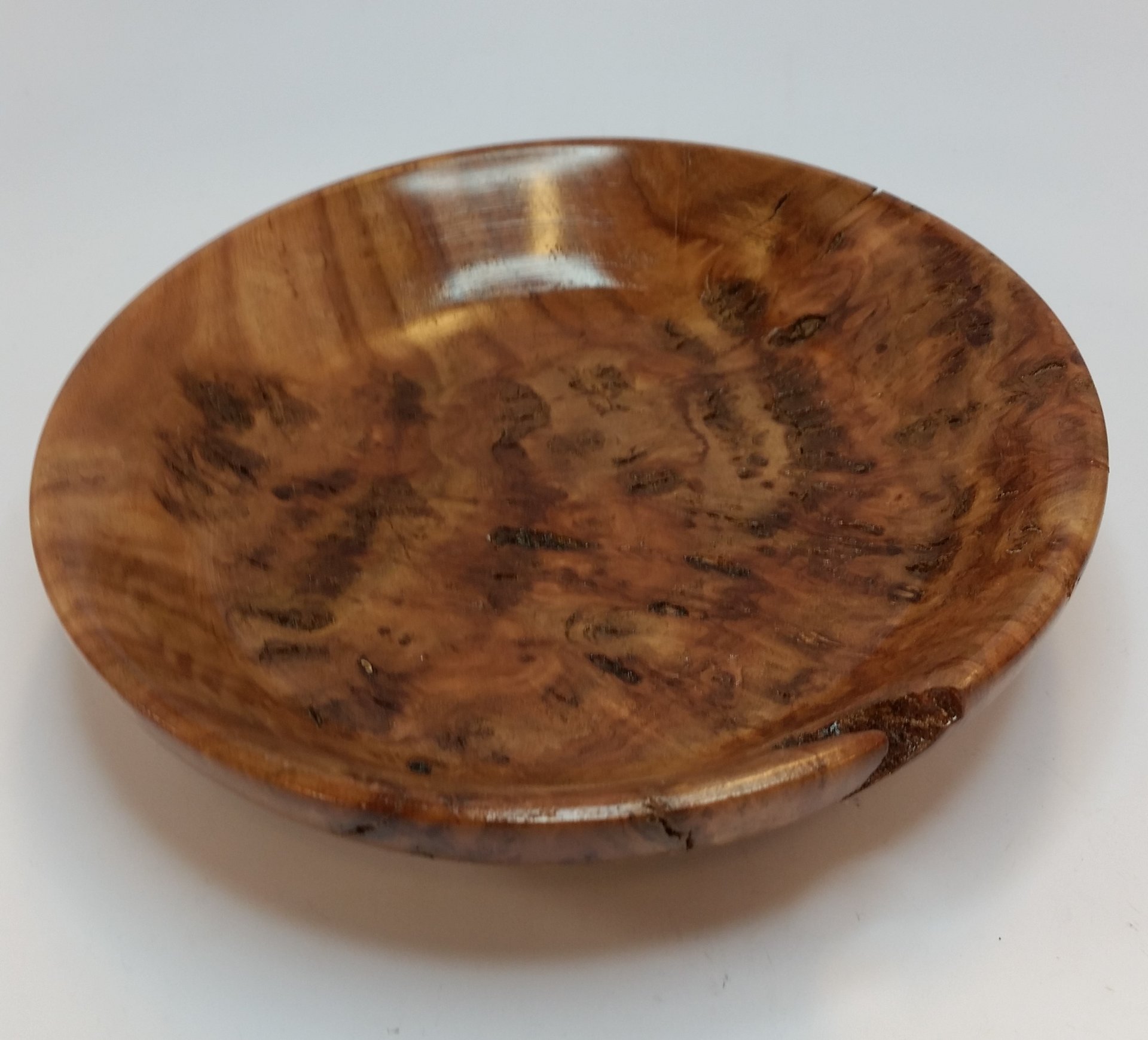 Red Gum Eucalyptus Burl