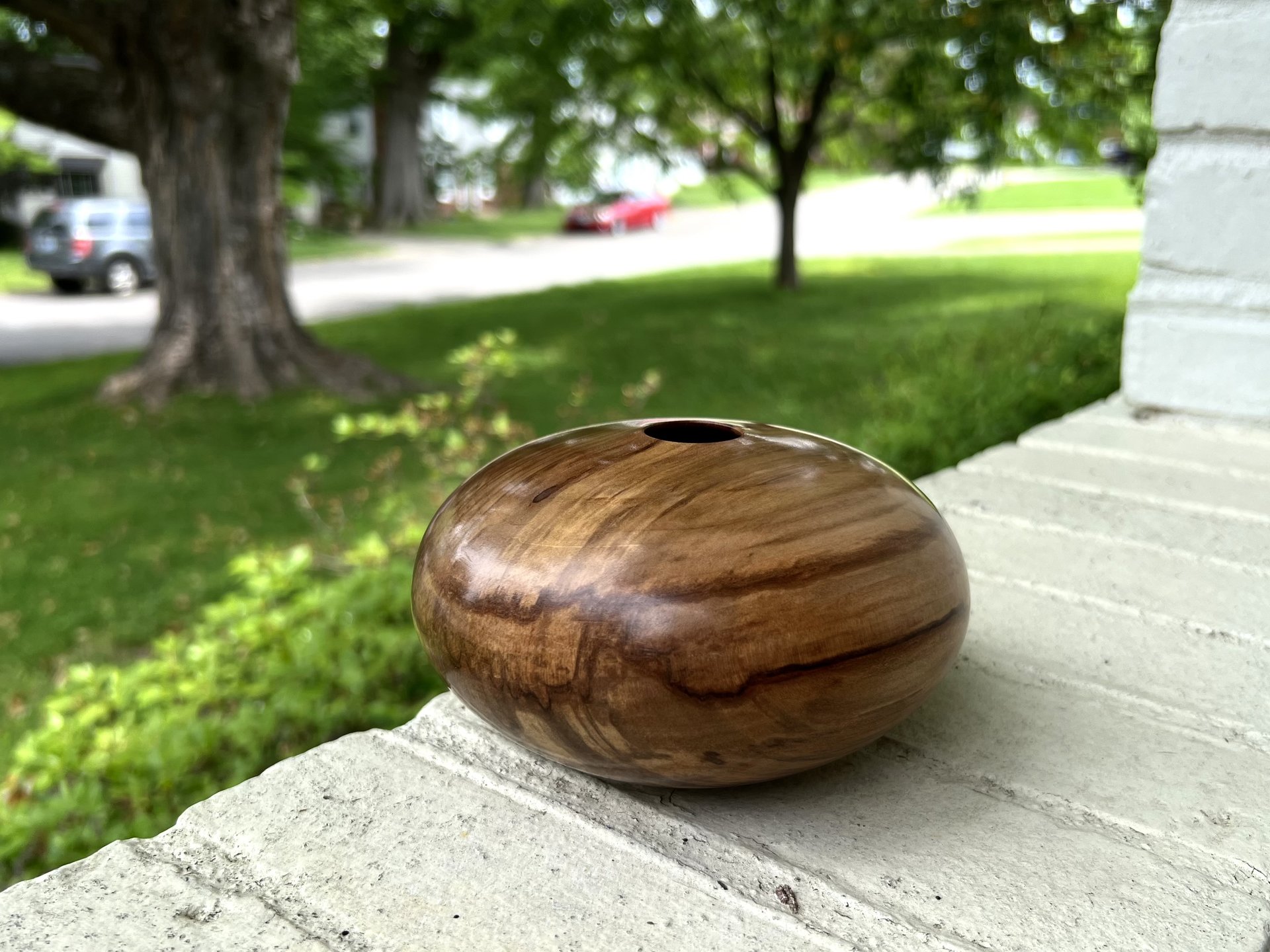 Red Gum hollow form (1 of 2)