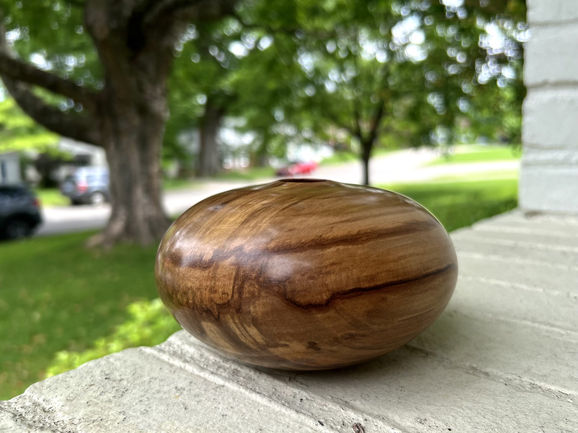 Red Gum hollow form (2 of 2)