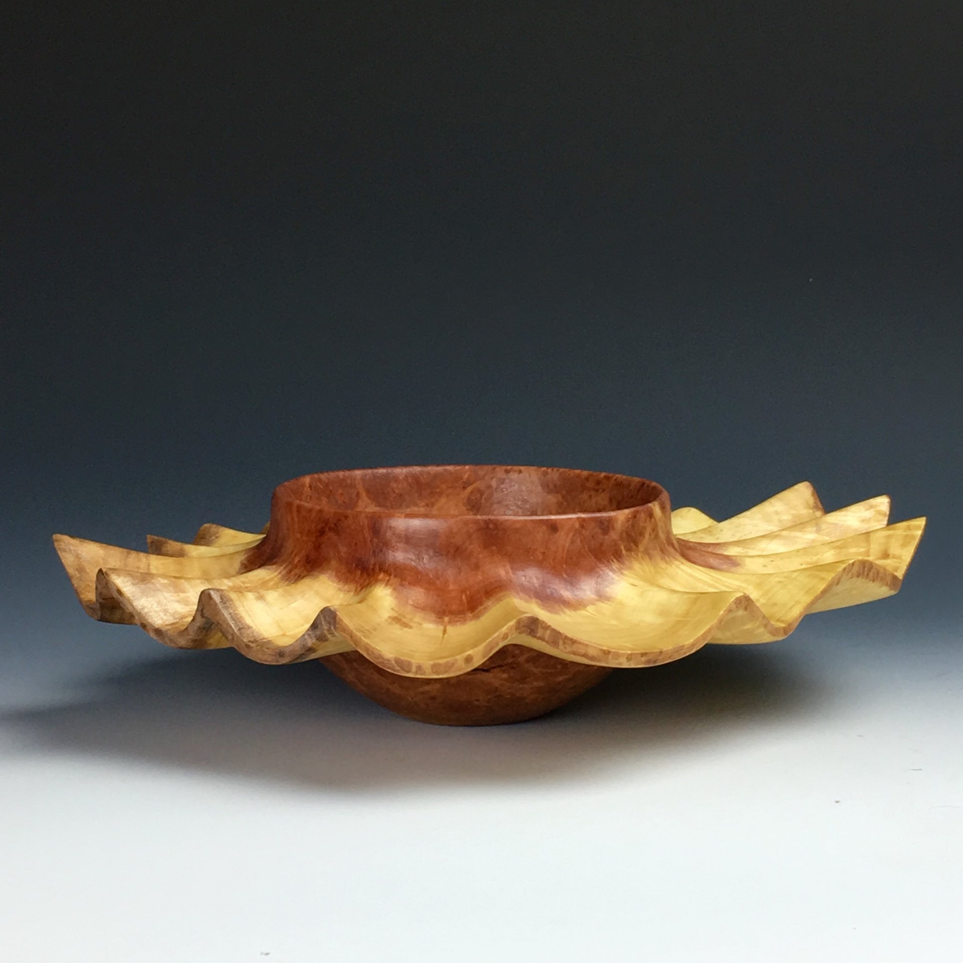Redwood Root Burl Bowl