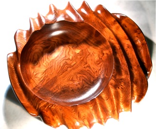 Redwood wave