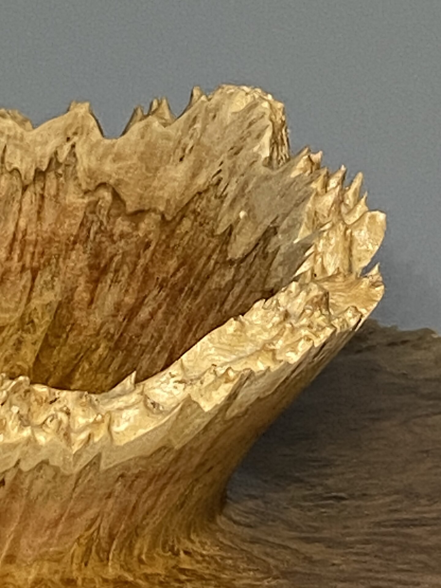 Rim of the Burl