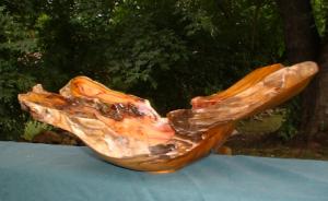 Root of the Plan (profile)