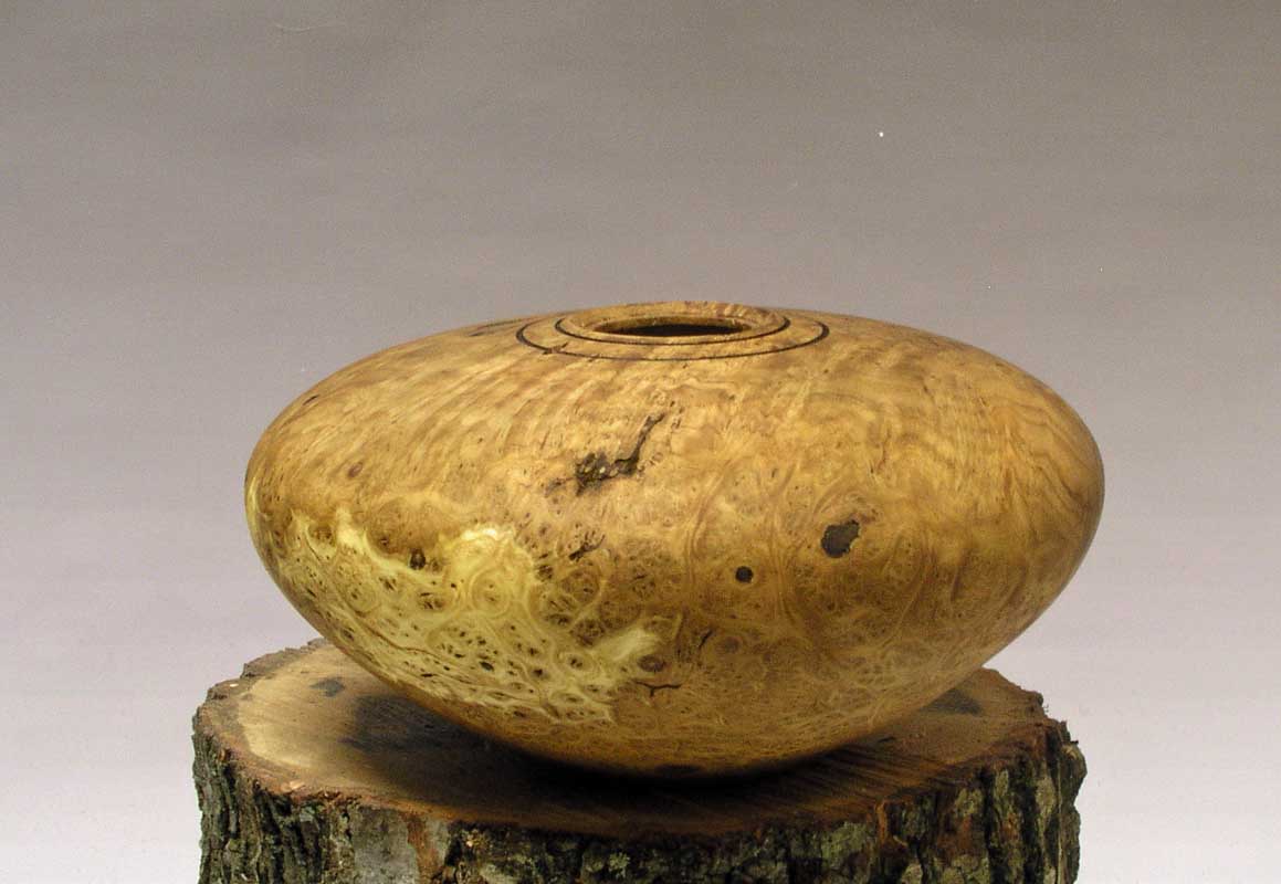 Russian Olive Form