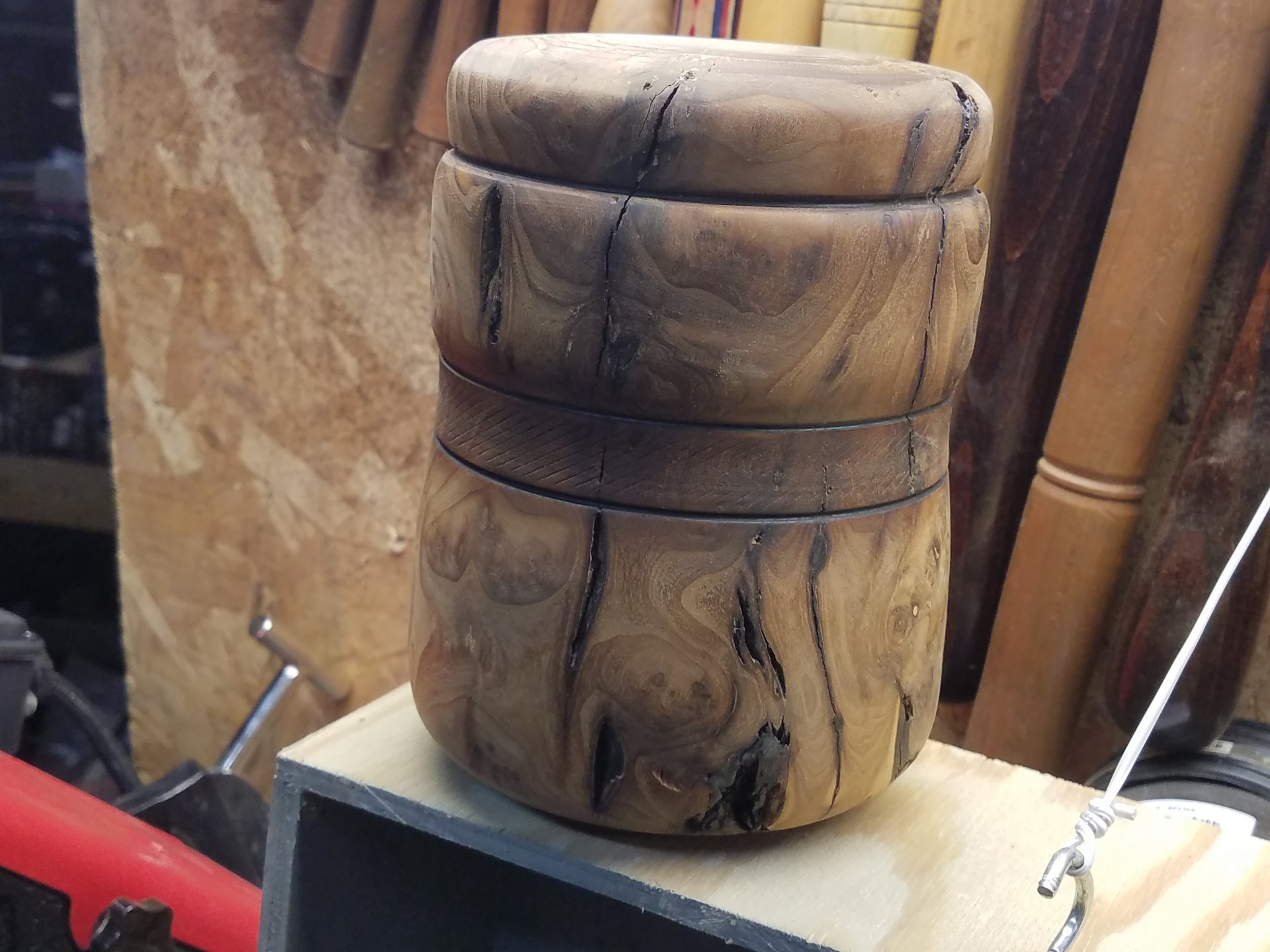 Russian Olive