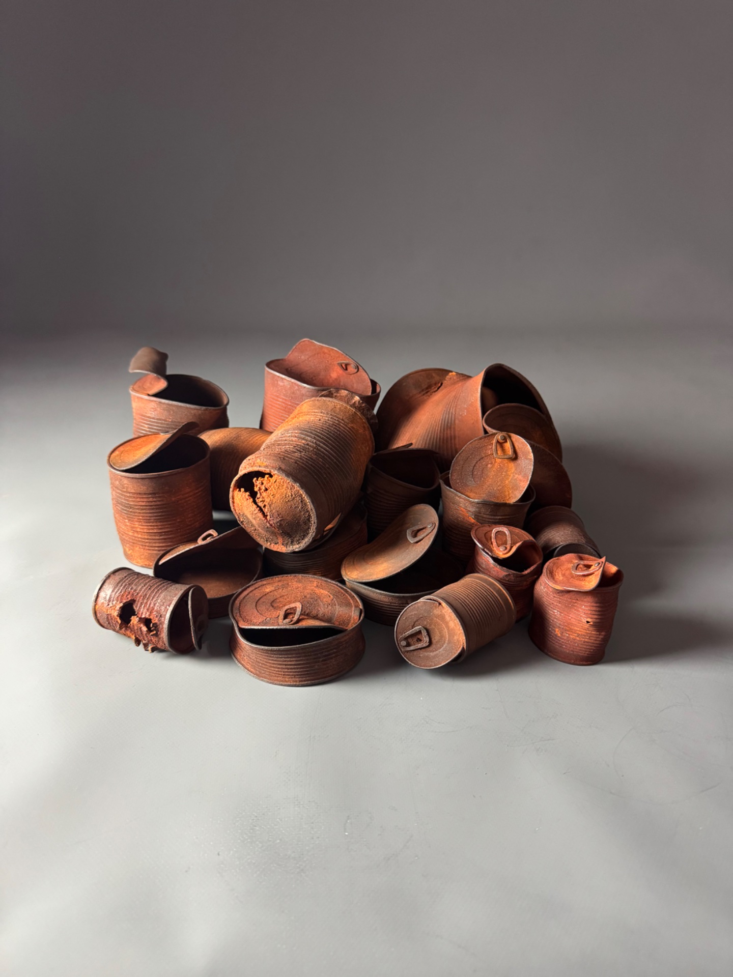 Rusty tin can familly