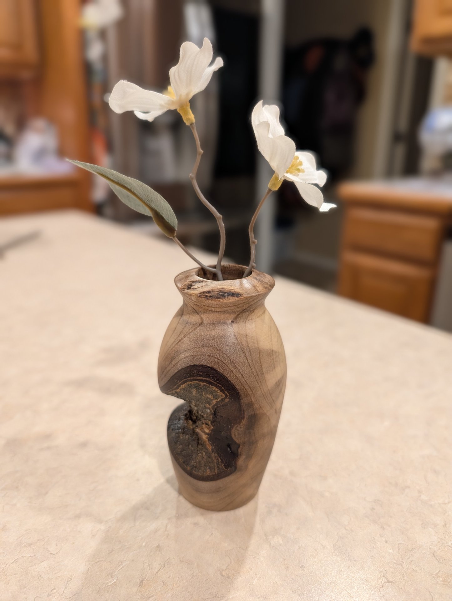 Sassafras Twig Vase