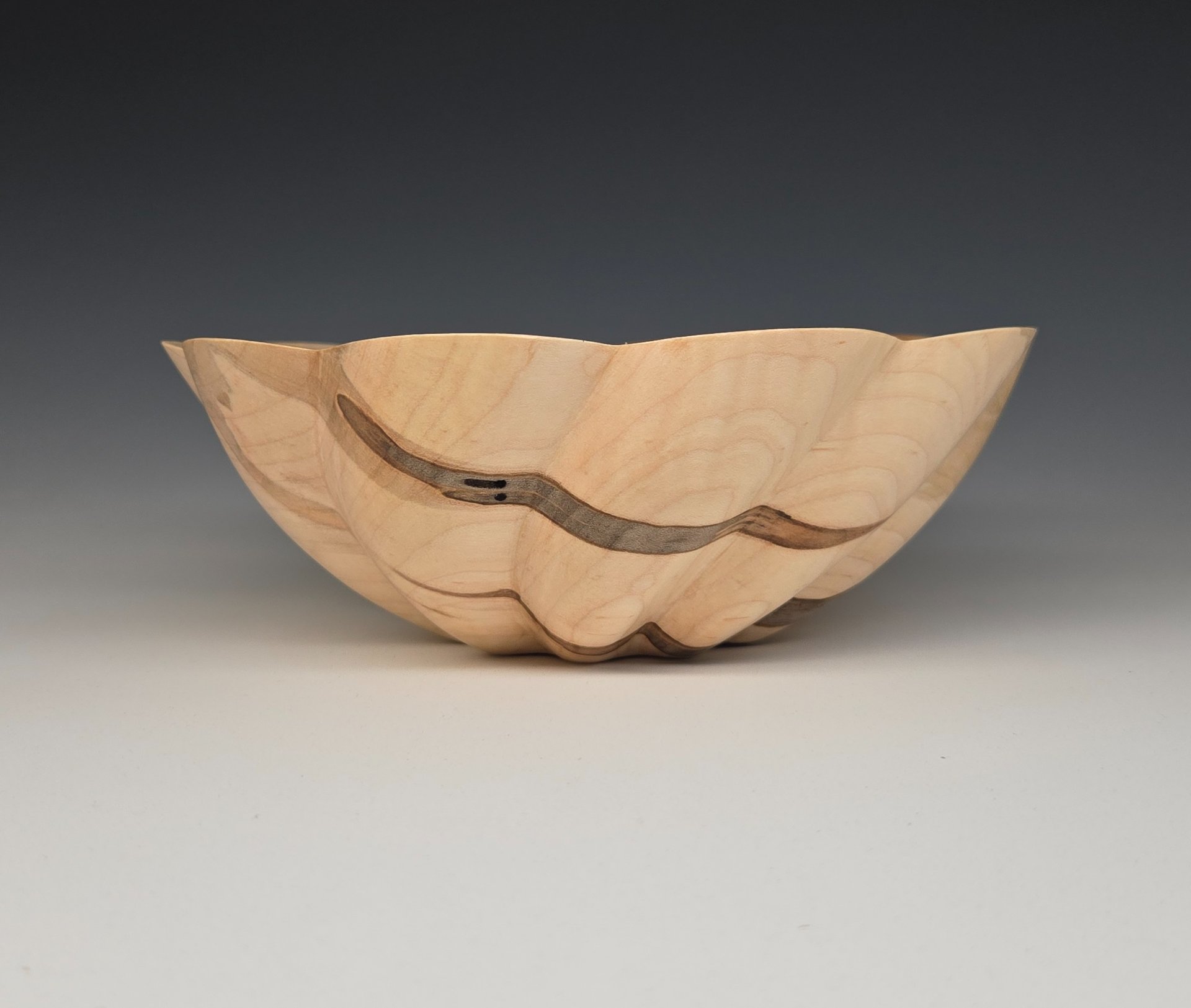 Scalloped ambrosia maple