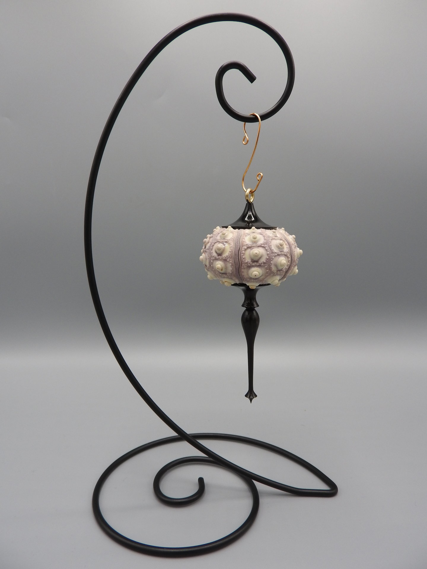 Sea Urchin Shell Ornament