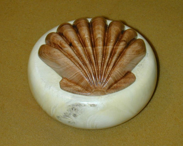 Seashell Box
