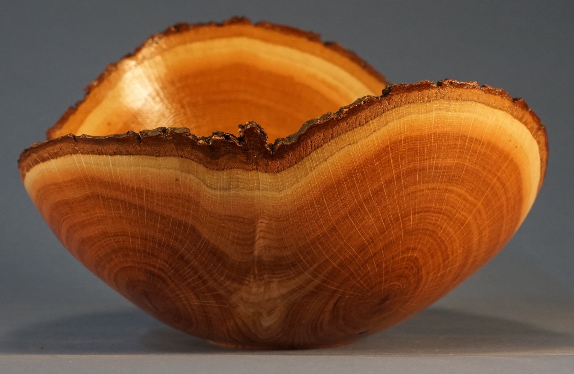 Serial 21072 Model BOLN0906 Northern Red oak bark edge crotch bowl