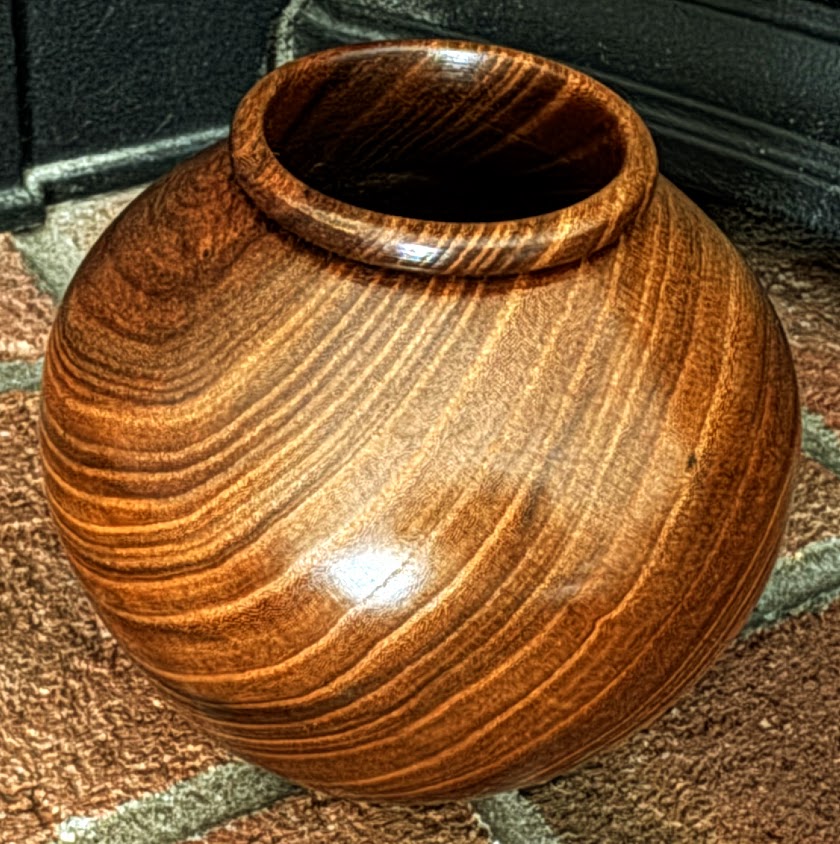 Siberian elm