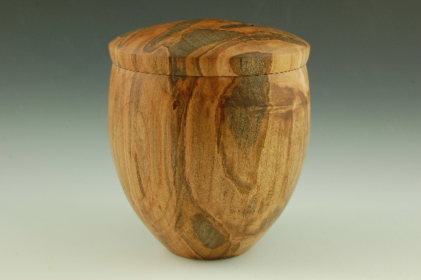 Silver Maple box
