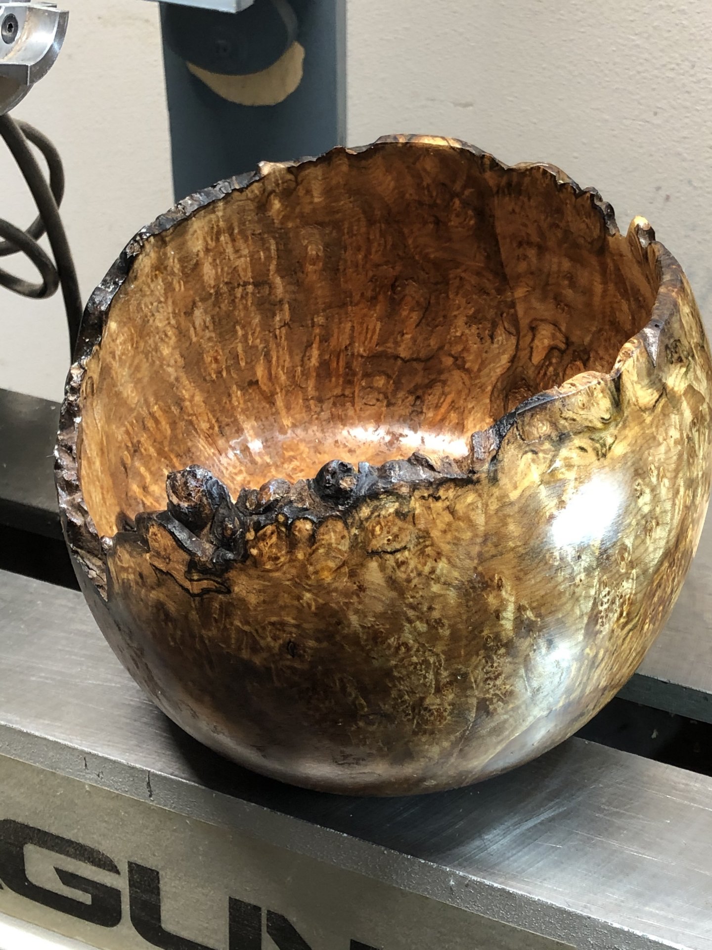 Silver maple burl live edge vessel