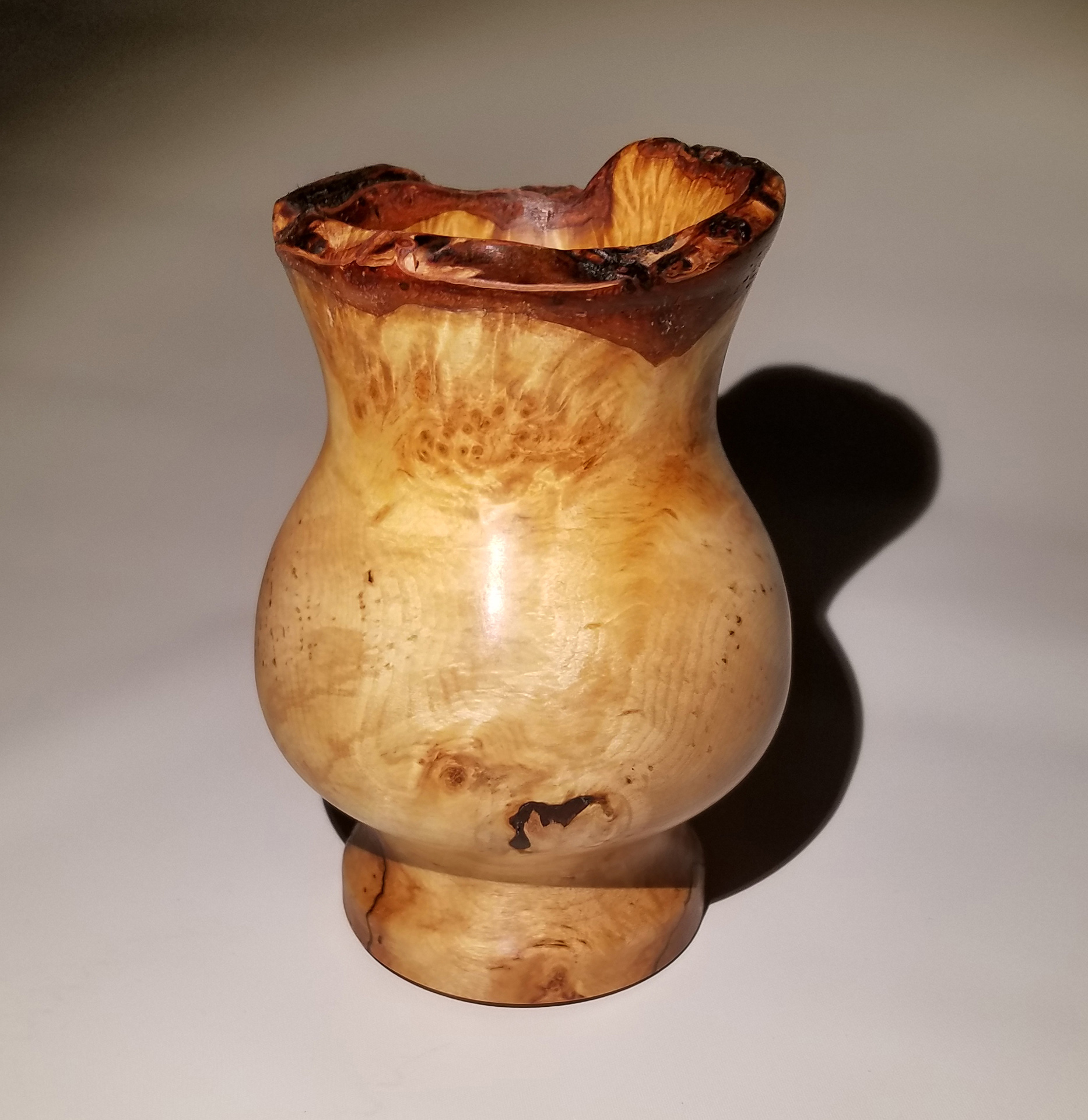 Skagway Birch Burl