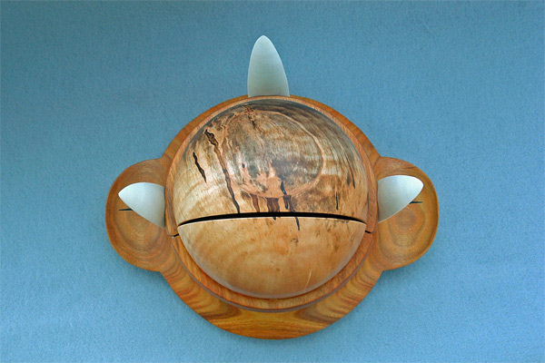 "Slayers Pride" Top View