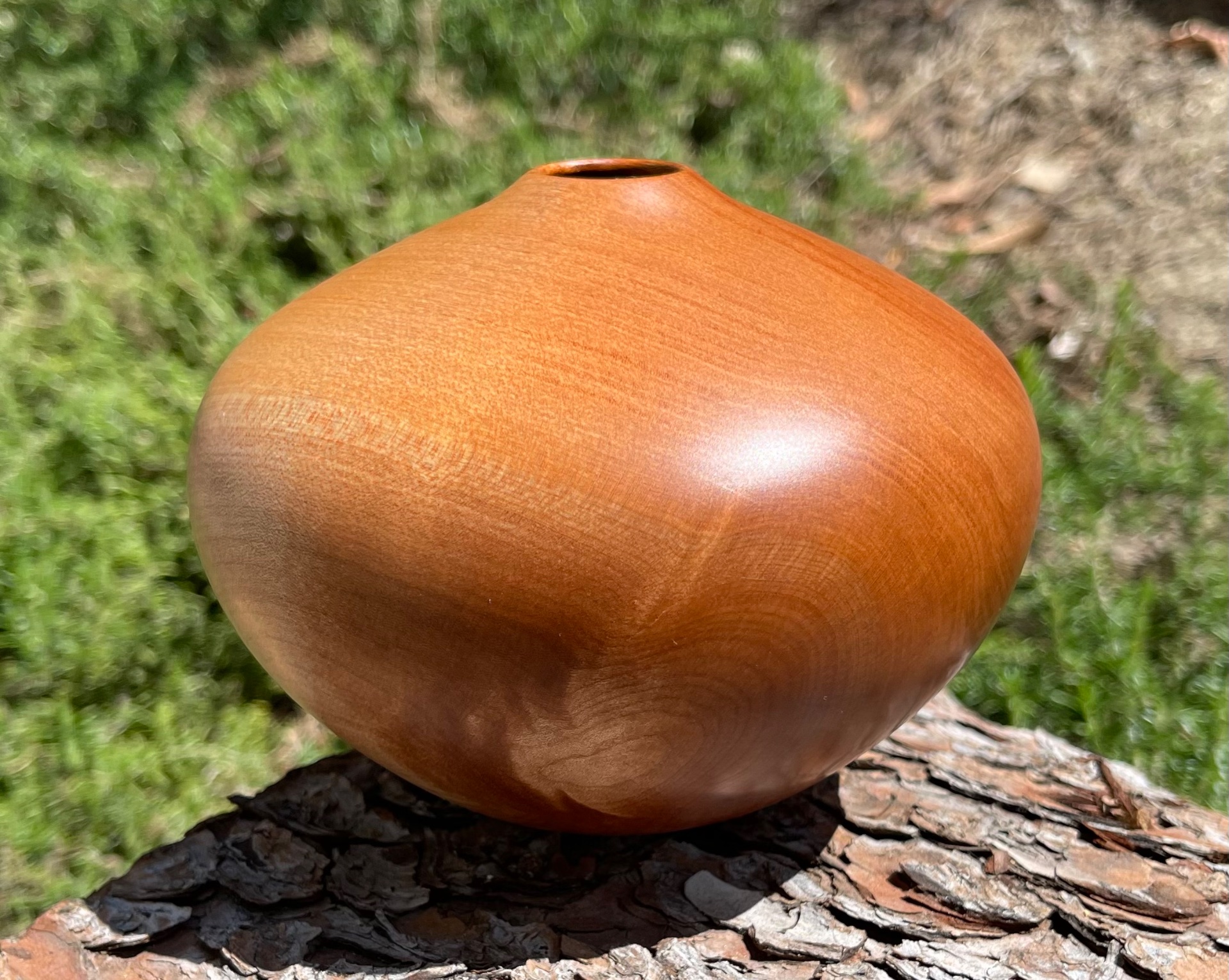 Soft maple hollow form