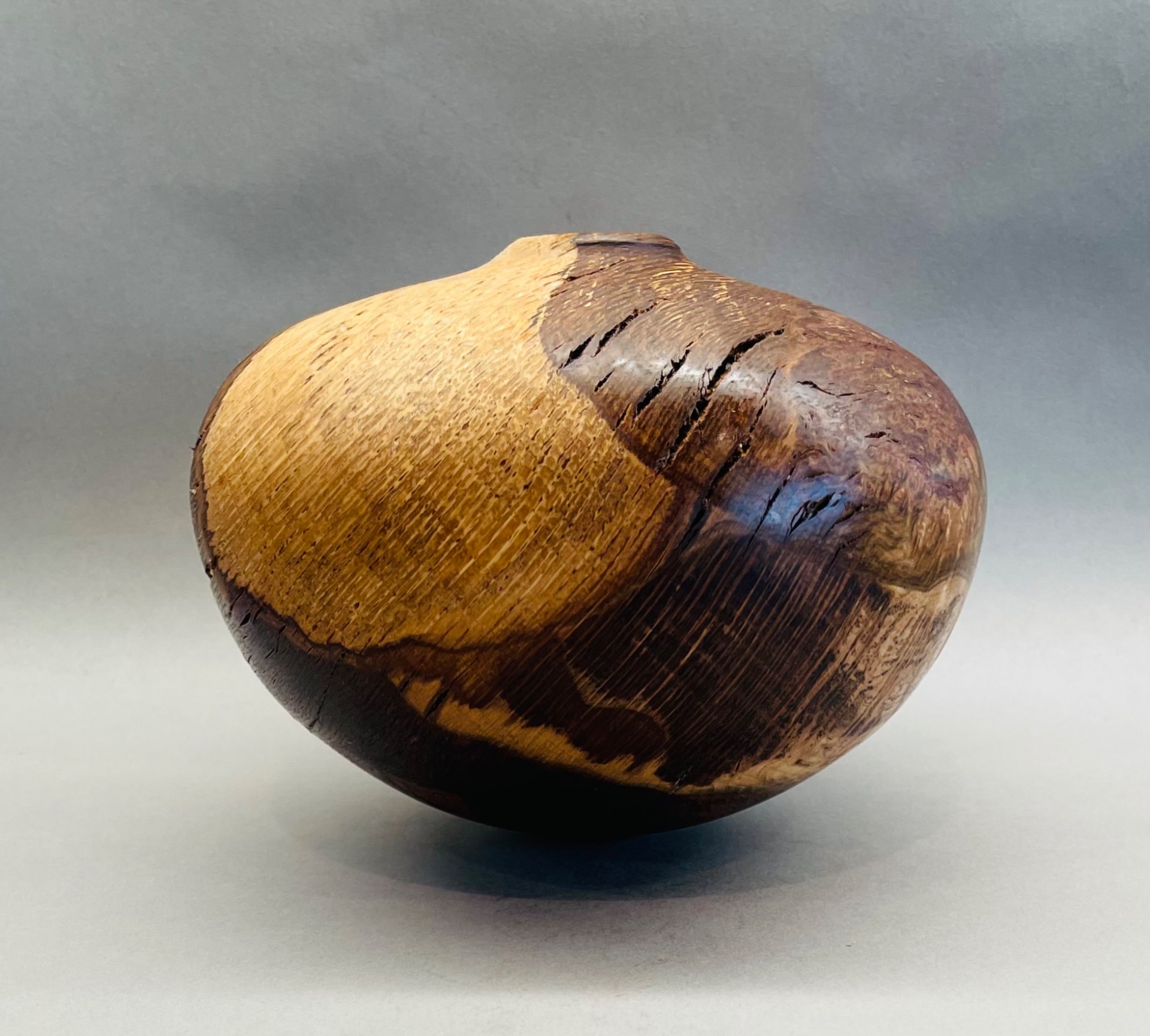 Some sort of oak