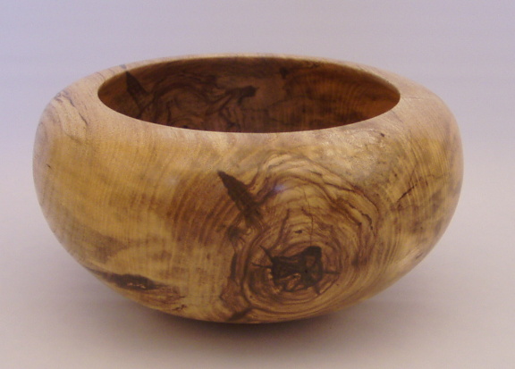 Spalted  American Elm