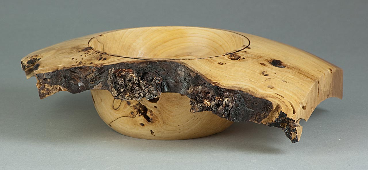 Spalted Ash Burl