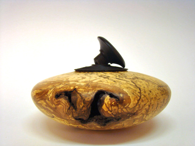 Spalted Ash hollow form with screw lid