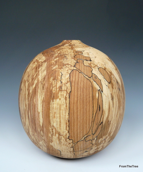 spalted beech form