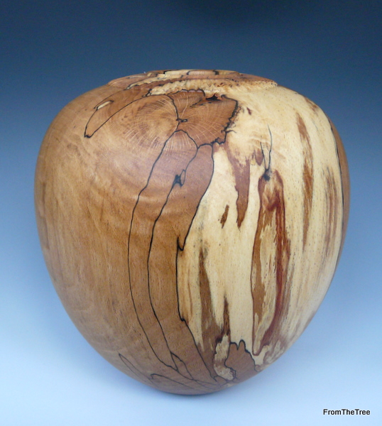 spalted beech form