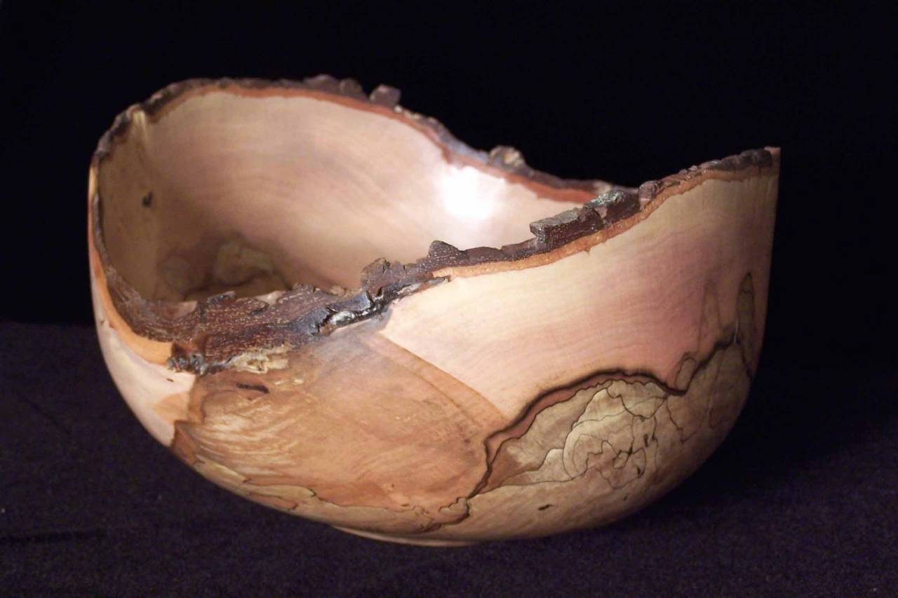 Spalted Dogwood Nat. Edge