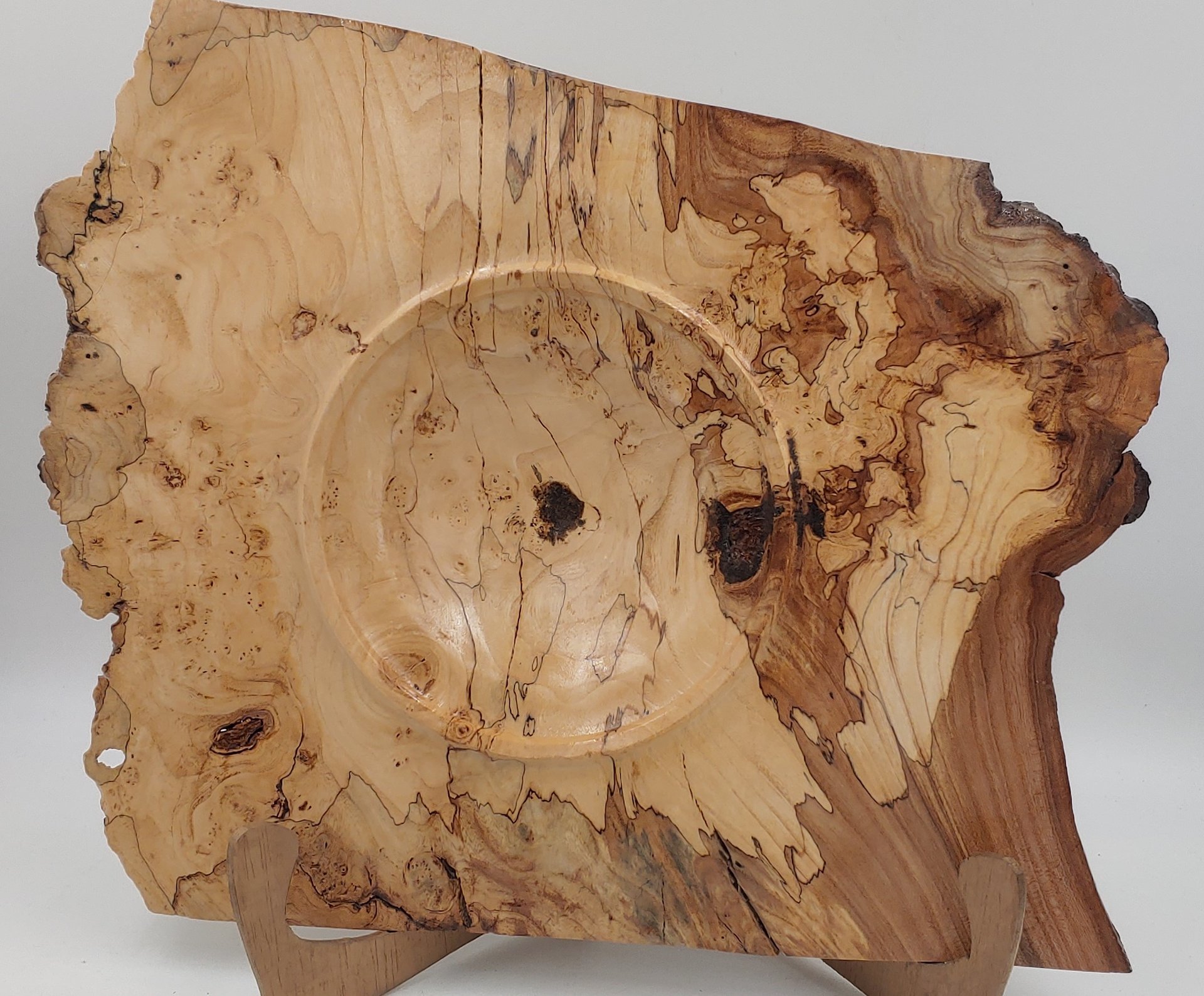 Spalted Elm Burl Winged Bowl 16" x 14"
