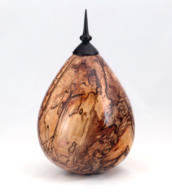 Spalted Maple Hollow Form with Ebony