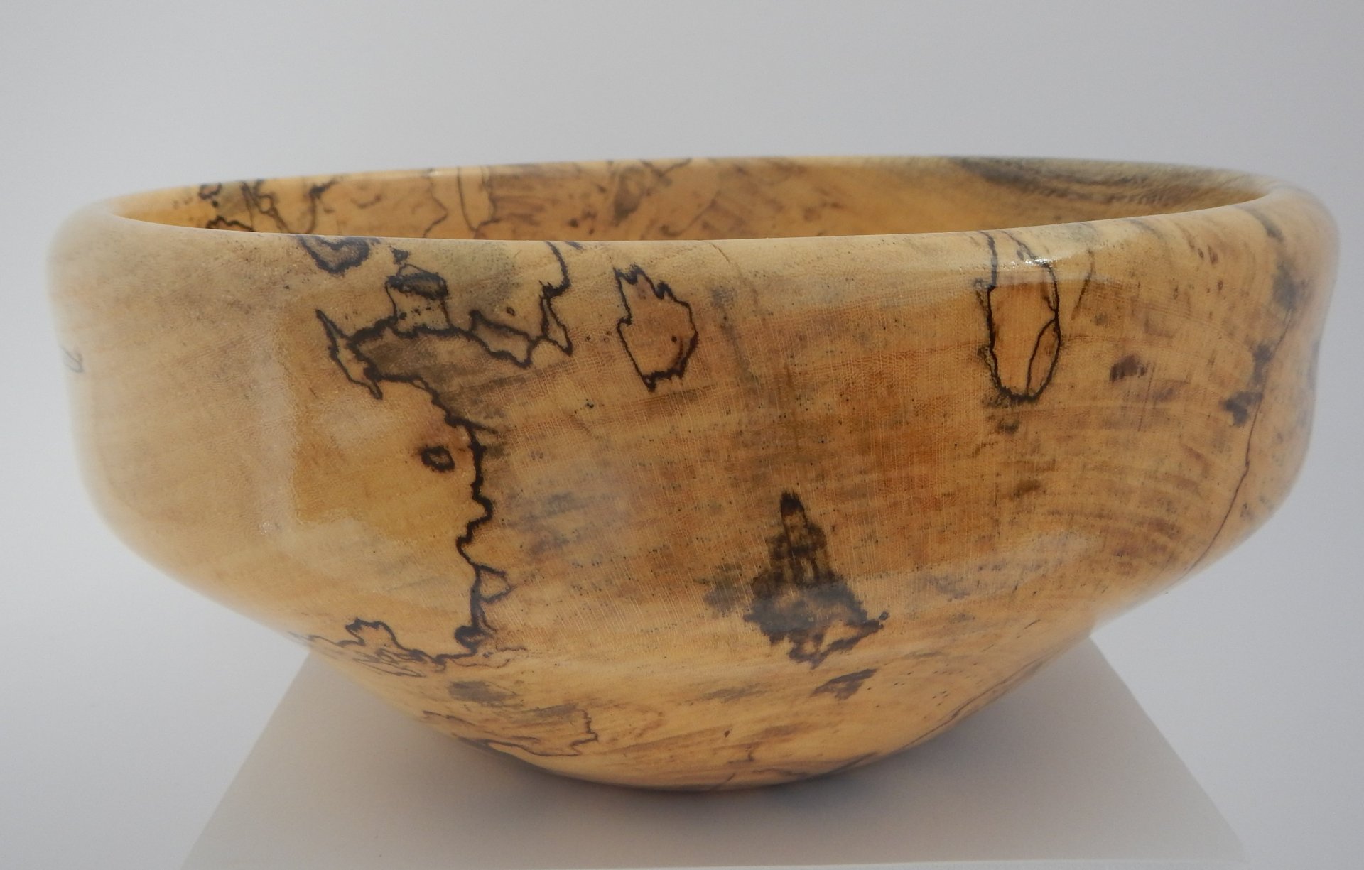 Spalted Maple