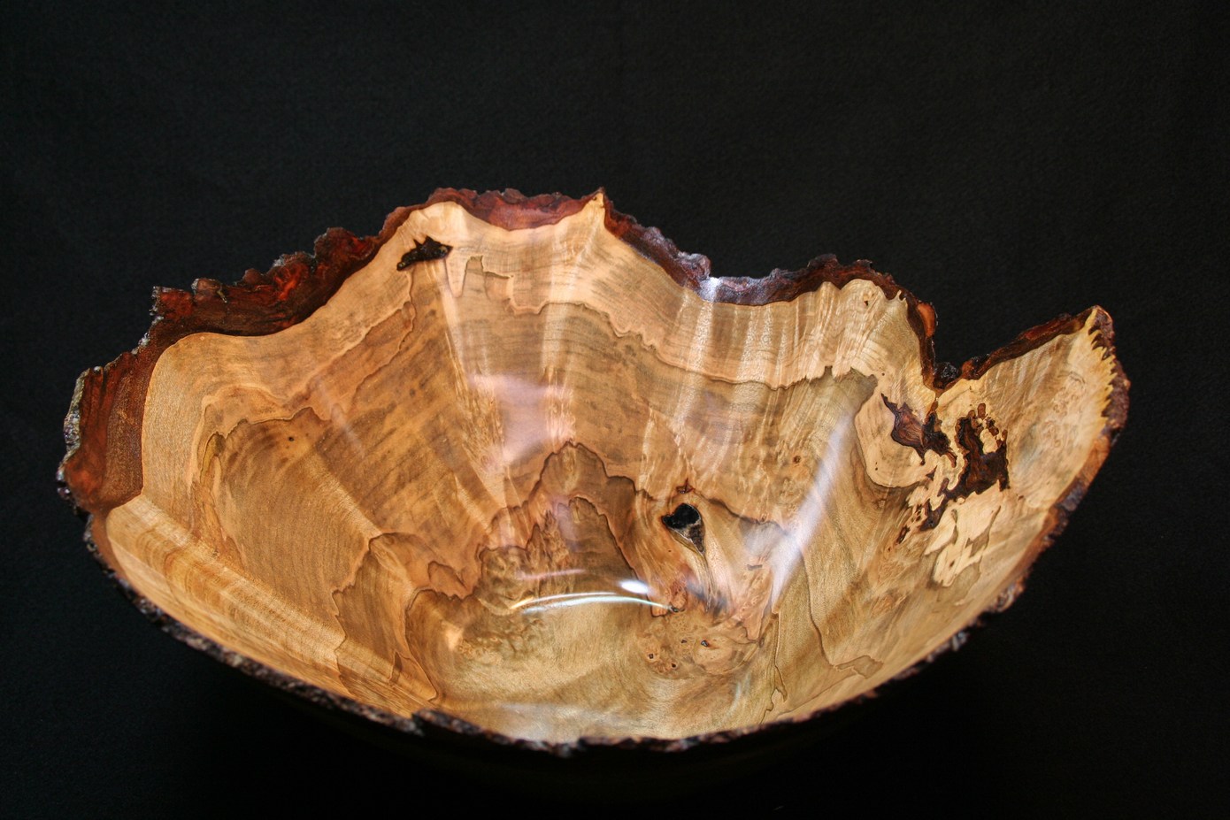 spalted red maple burl natural edge bowl