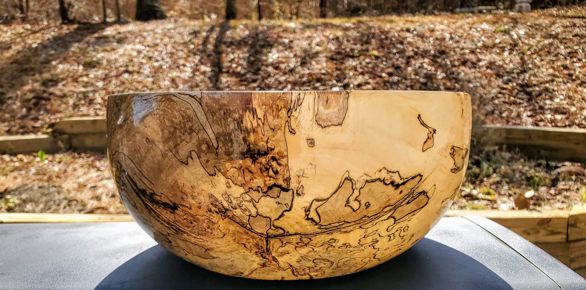 Spalted Silver Leaf Maple