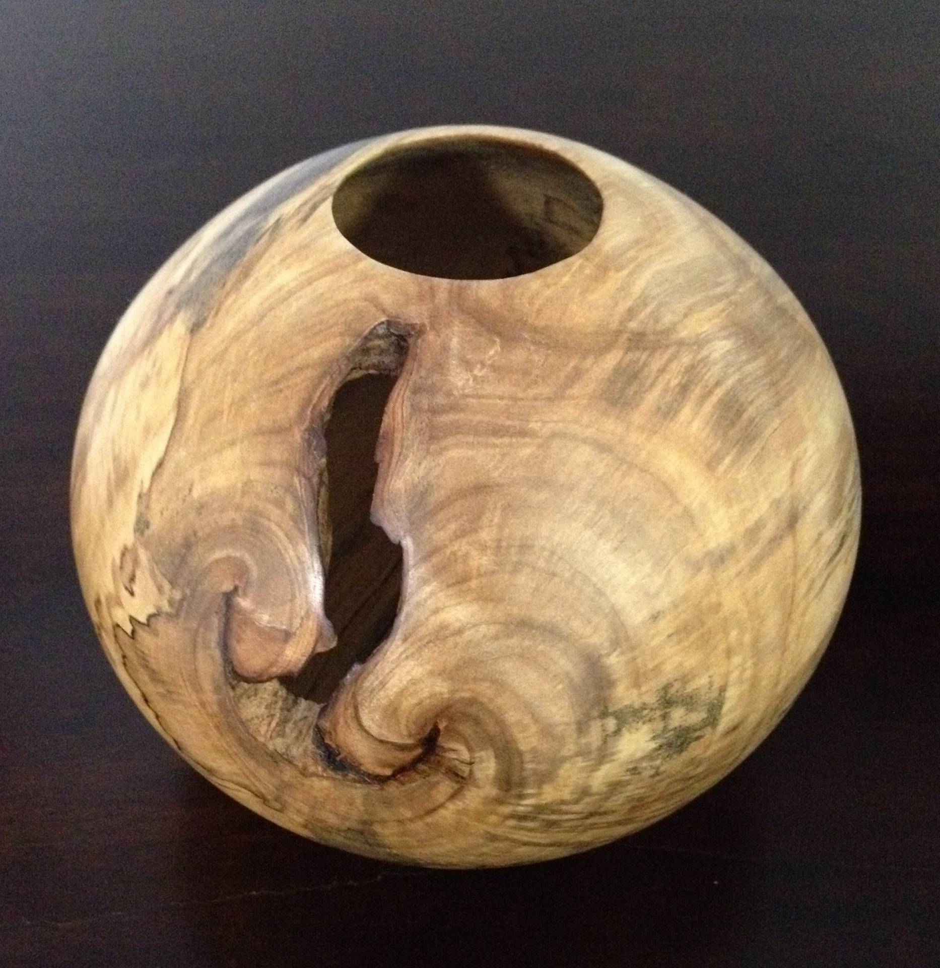 Spalted Silver Maple