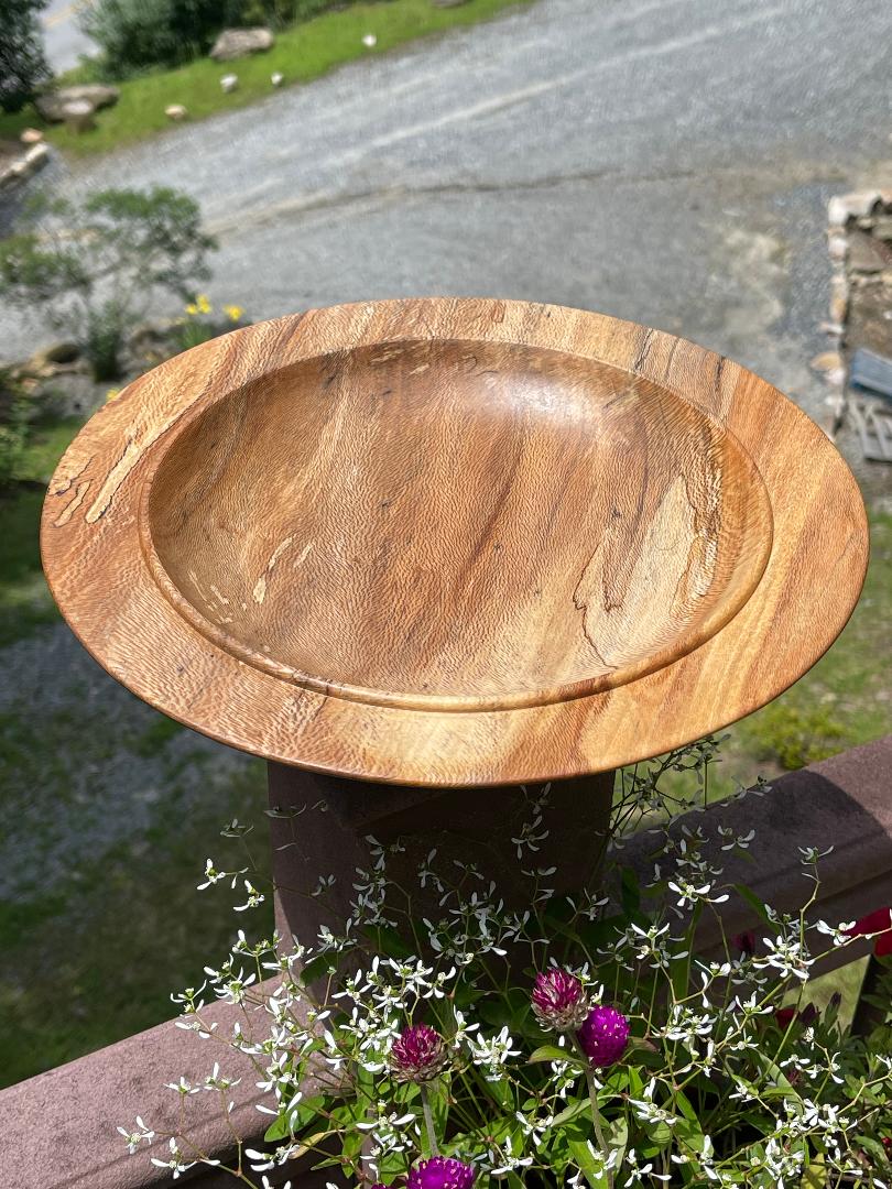 Spalted Sycamore Shallow Bowl