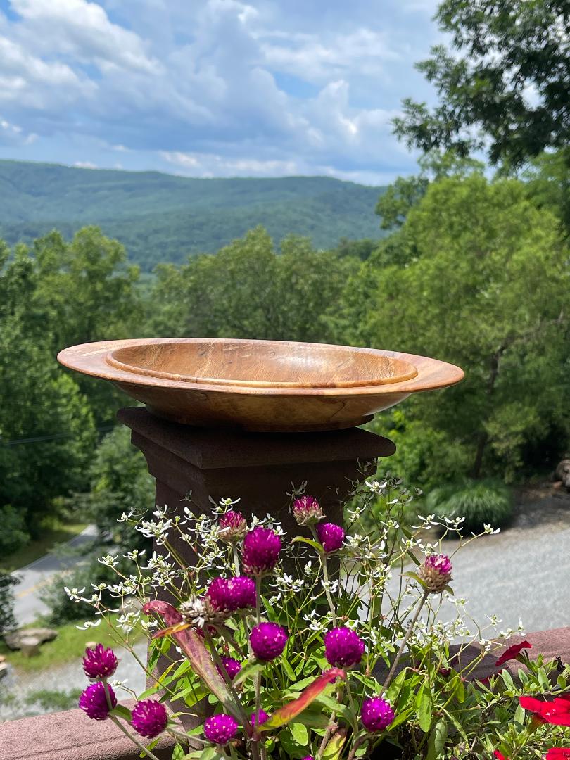 Spalted Sycamore Shallow Bowl