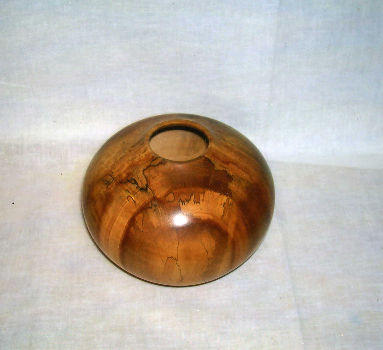 Spalted Texas Black Willow