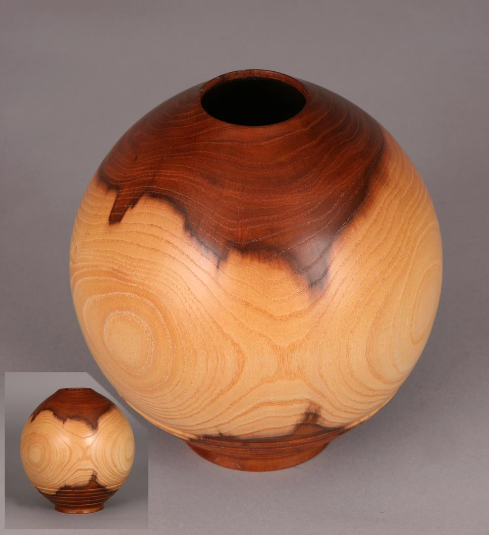 Sphere, Chinese Elm