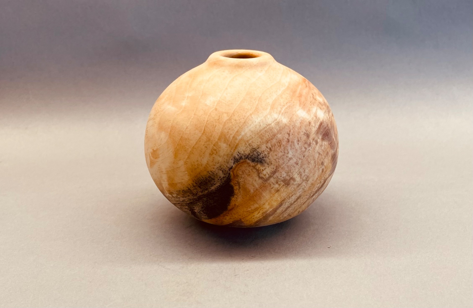 Spruce HF