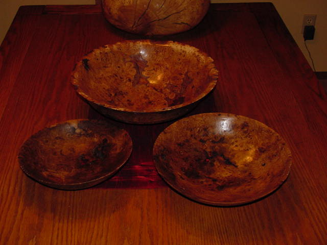 successful nesting oak burl